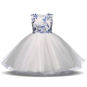 NWT Isabella butterfly Dress in Blue and White